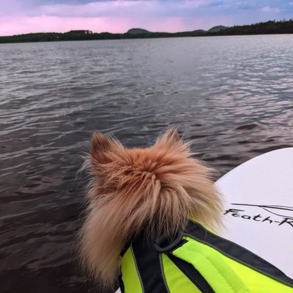 Meet your Posher, Magalie - Picture 1 of 1